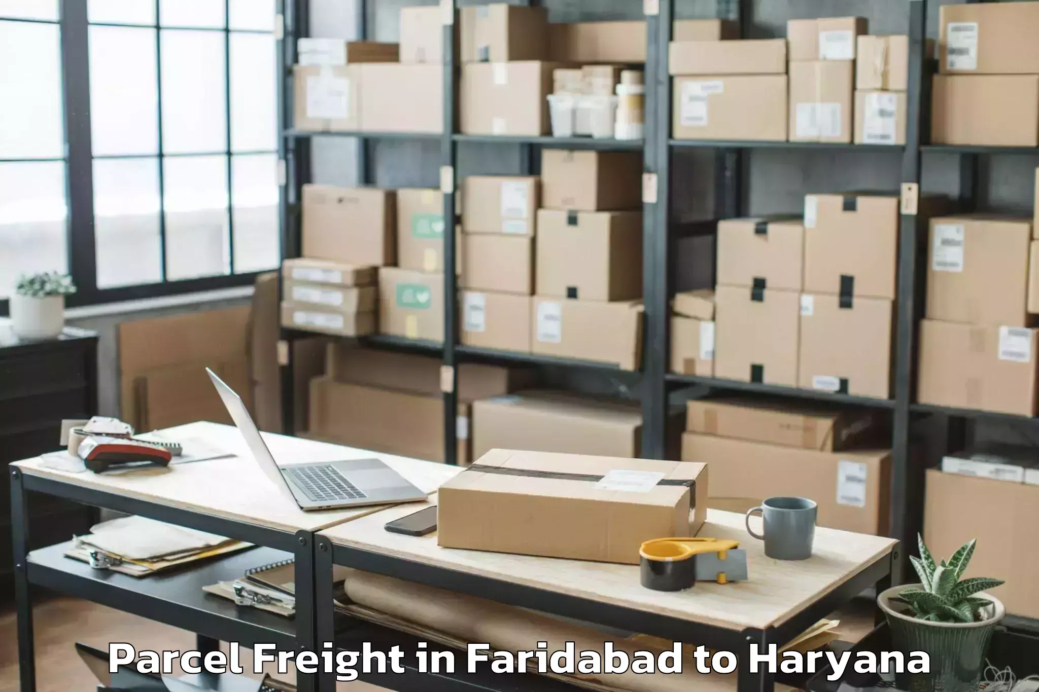 Top Faridabad to Bhiwani Parcel Freight Available